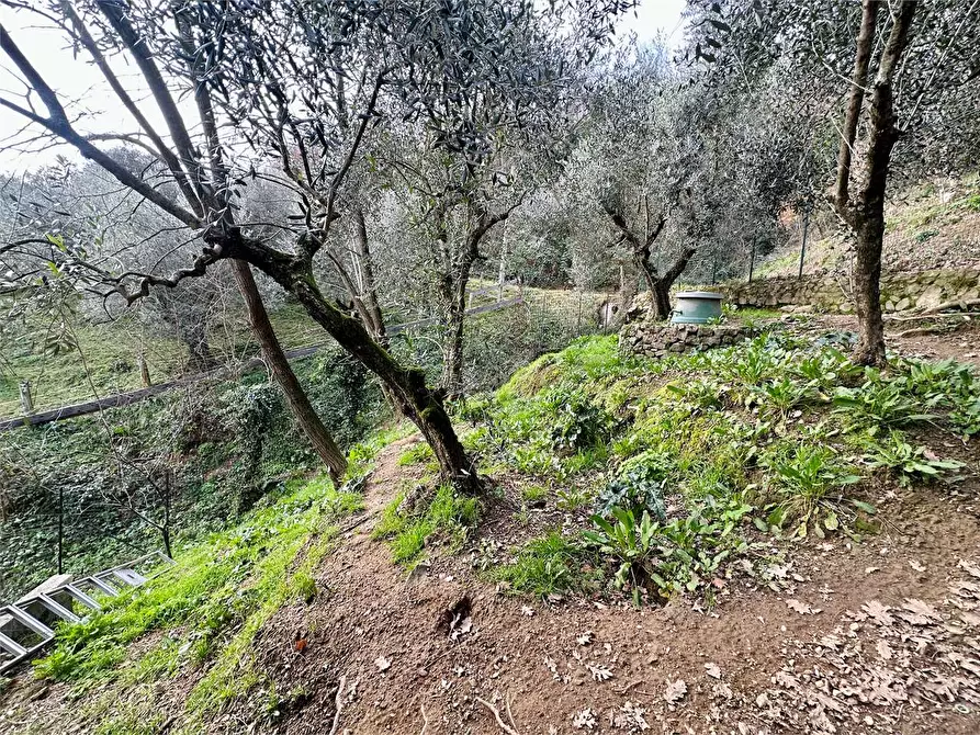 Immagine 26 di Casa bifamiliare in vendita  in ciciana  a Lucca