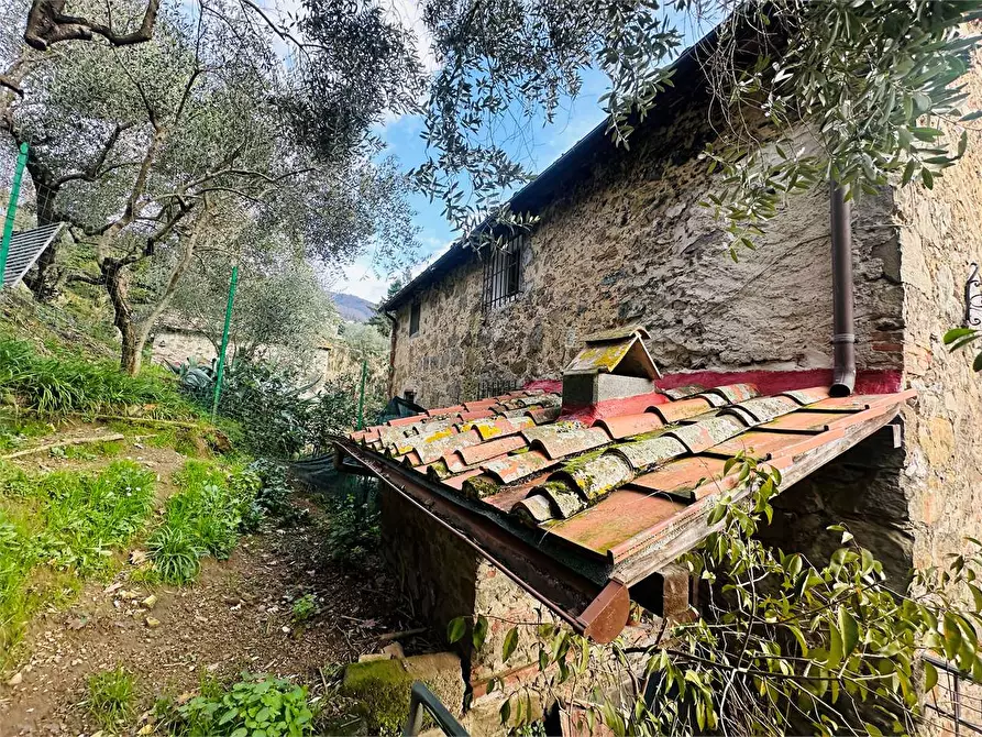 Immagine 24 di Casa bifamiliare in vendita  in ciciana  a Lucca