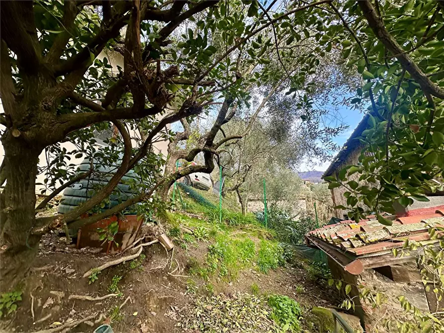 Immagine 25 di Casa bifamiliare in vendita  in ciciana  a Lucca