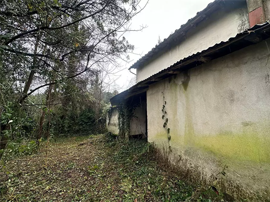 Immagine 6 di Rustico / casale in vendita  in via casanuova  a Buggiano