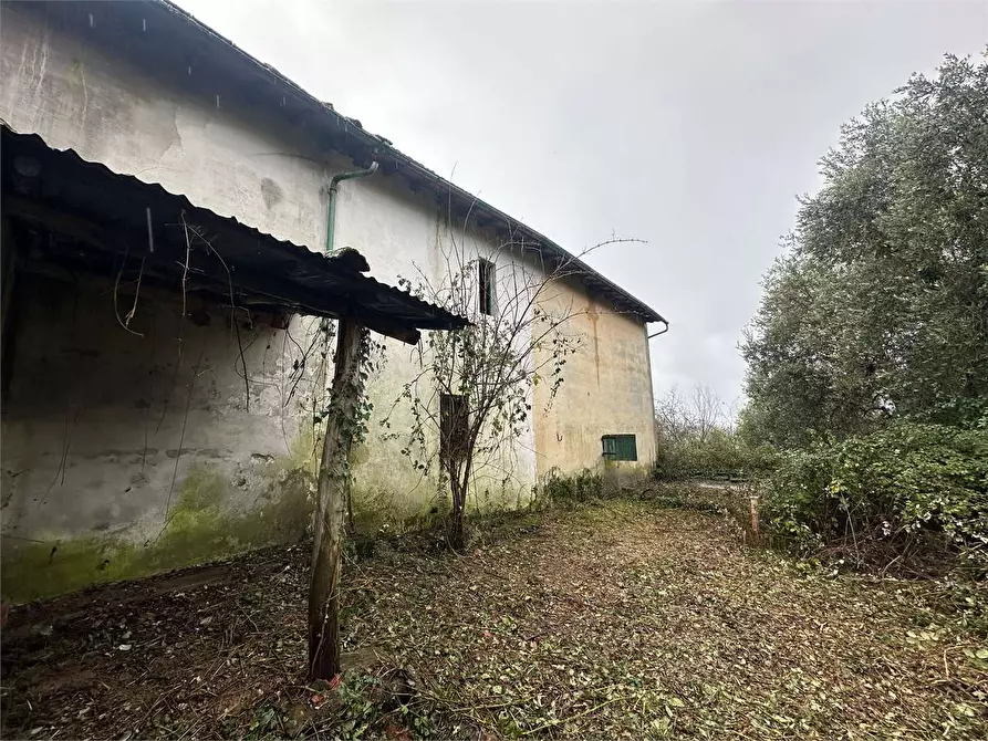 Immagine 7 di Rustico / casale in vendita  in via casanuova  a Buggiano