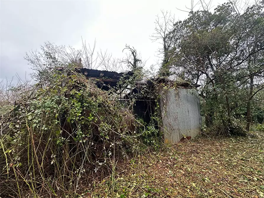 Immagine 43 di Rustico / casale in vendita  in via casanuova  a Buggiano