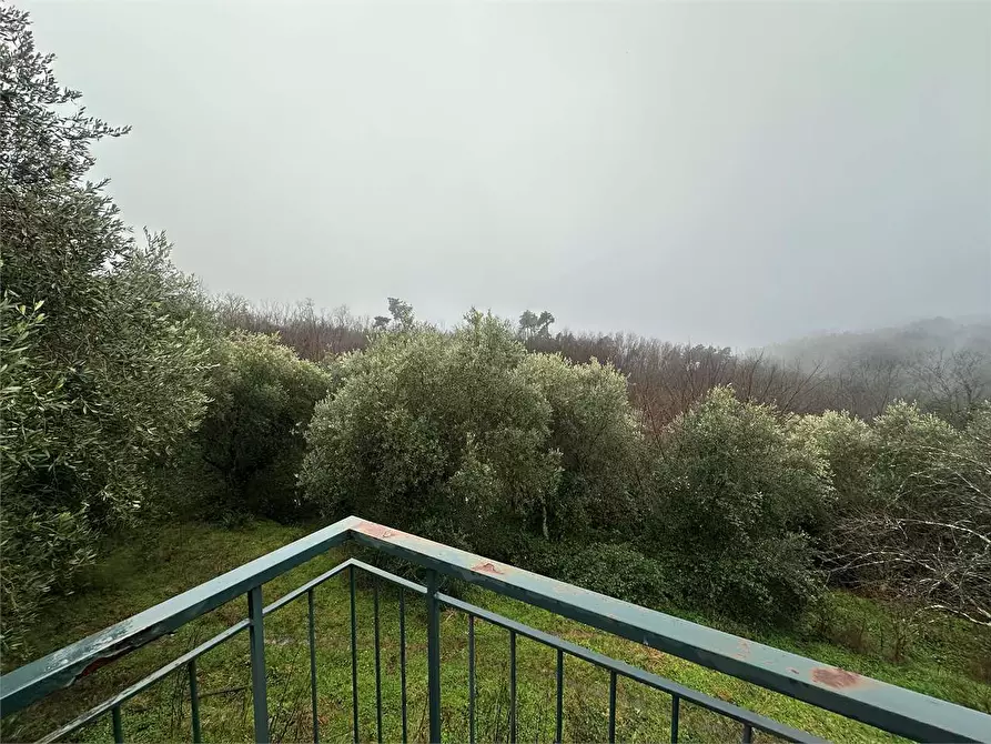 Immagine 5 di Rustico / casale in vendita  in via casanuova  a Buggiano