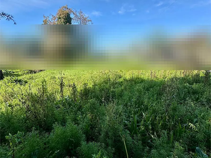 Immagine 38 di Porzione di casa in vendita  in via di chiasso roggi a Capannori