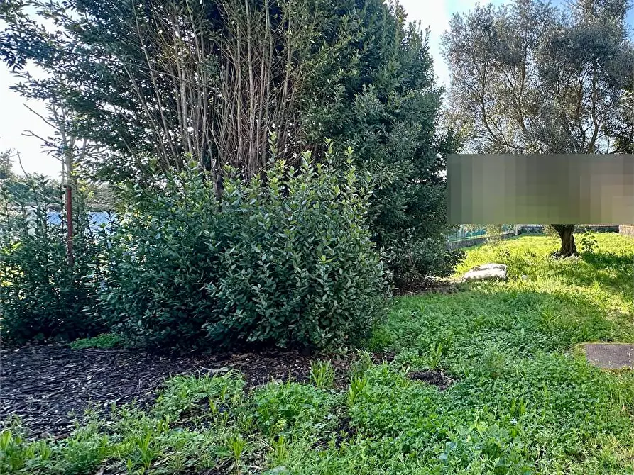 Immagine 39 di Porzione di casa in vendita  in via di chiasso roggi a Capannori