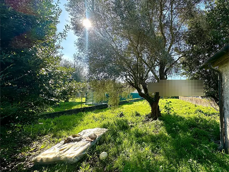 Immagine 40 di Porzione di casa in vendita  in via di chiasso roggi a Capannori