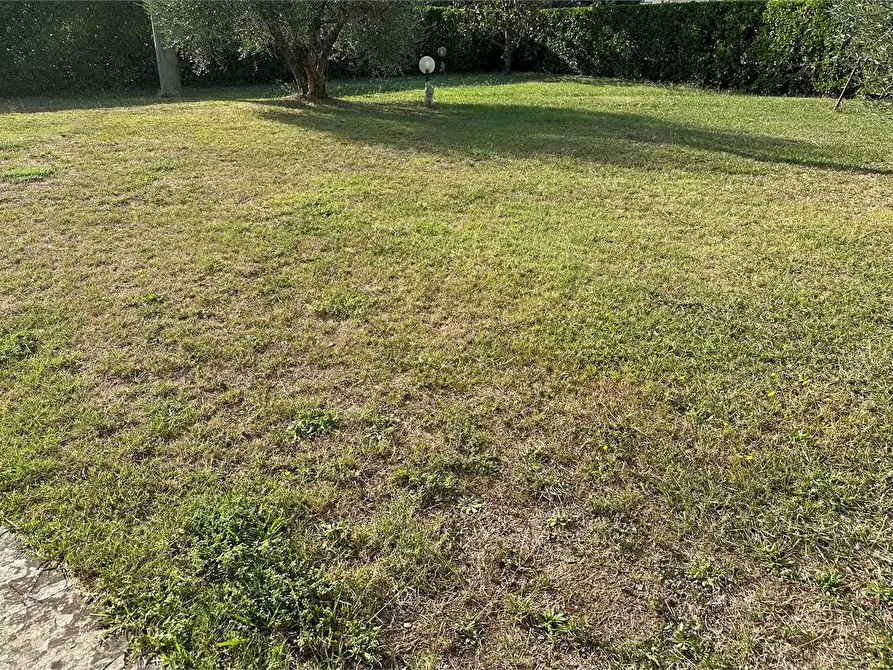 Immagine 28 di Villa in vendita  in Lammari  a Capannori