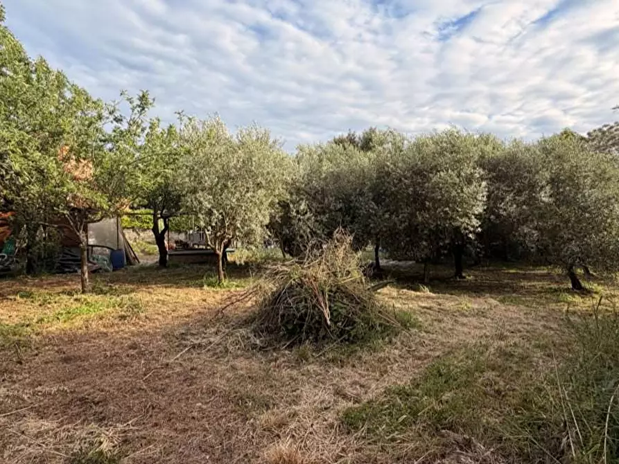 Immagine 6 di Casa bifamiliare in vendita  in via dei centoni a Capannori