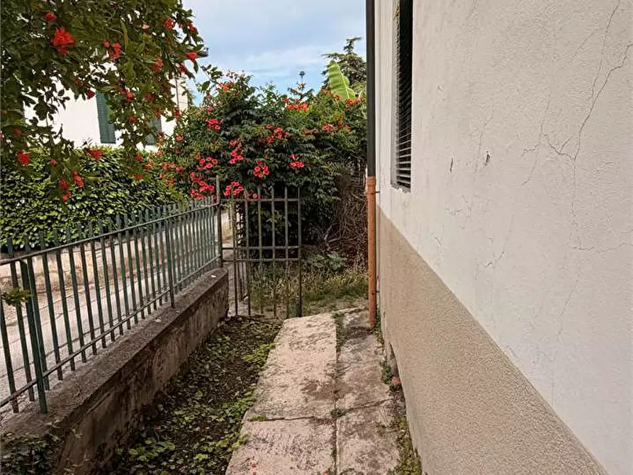 Immagine 8 di Stabile in vendita  in san marco a Lucca