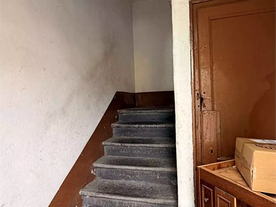 Immagine 9 di Stabile in vendita  in san marco a Lucca