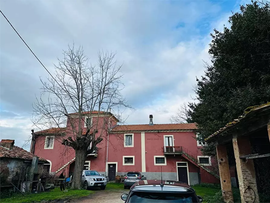 Immagine 2 di Rustico / casale in vendita  in Pisa a Pisa
