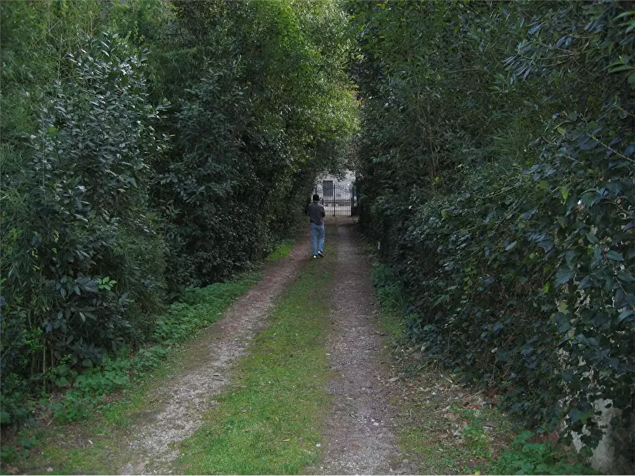 Immagine 34 di Appartamento in vendita  in via della pieve a Capannori