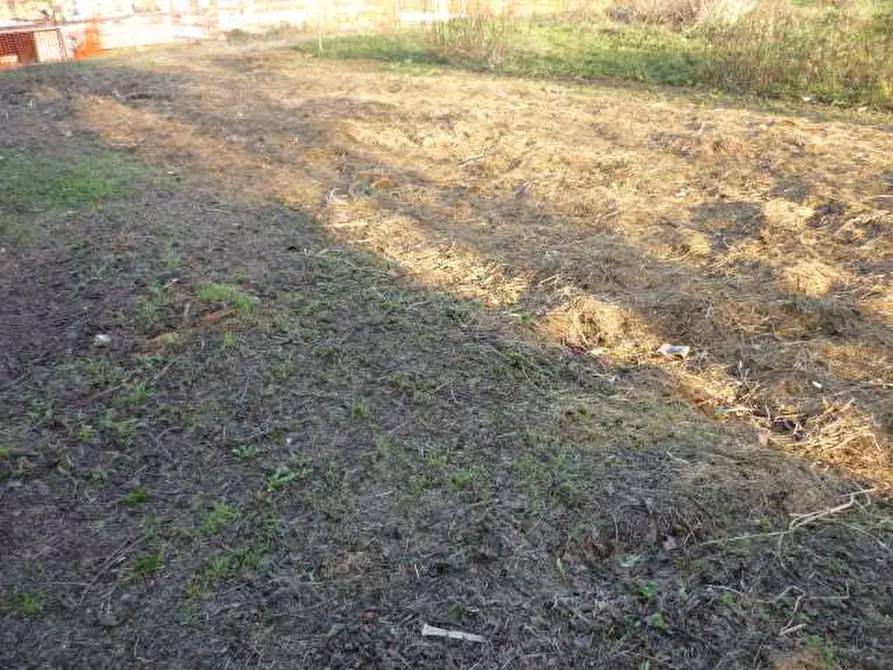 Immagine 10 di Villa in vendita  in via della pieve a Capannori