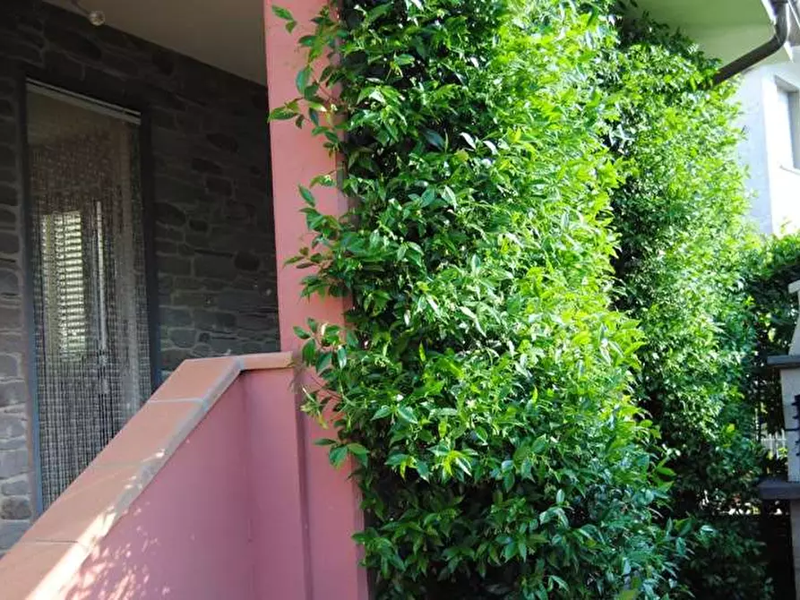 Immagine 24 di Casa indipendente in vendita  in bozzano a Massarosa