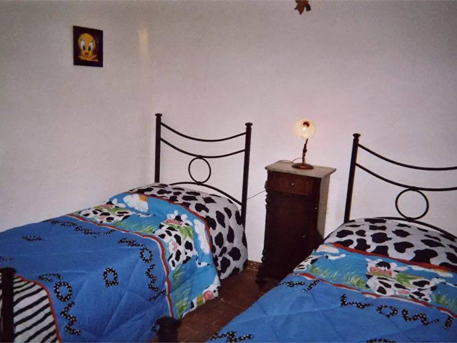 Immagine 5 di Casa indipendente in vendita  in villa basilica a Villa Basilica