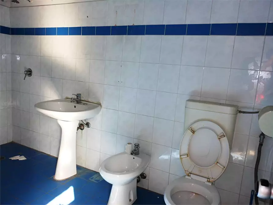 Immagine 3 di Capannone industriale in vendita  in ponte a moriano a Lucca