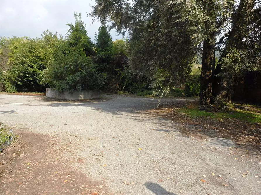 Immagine 4 di Capannone industriale in vendita  in ponte a moriano a Lucca