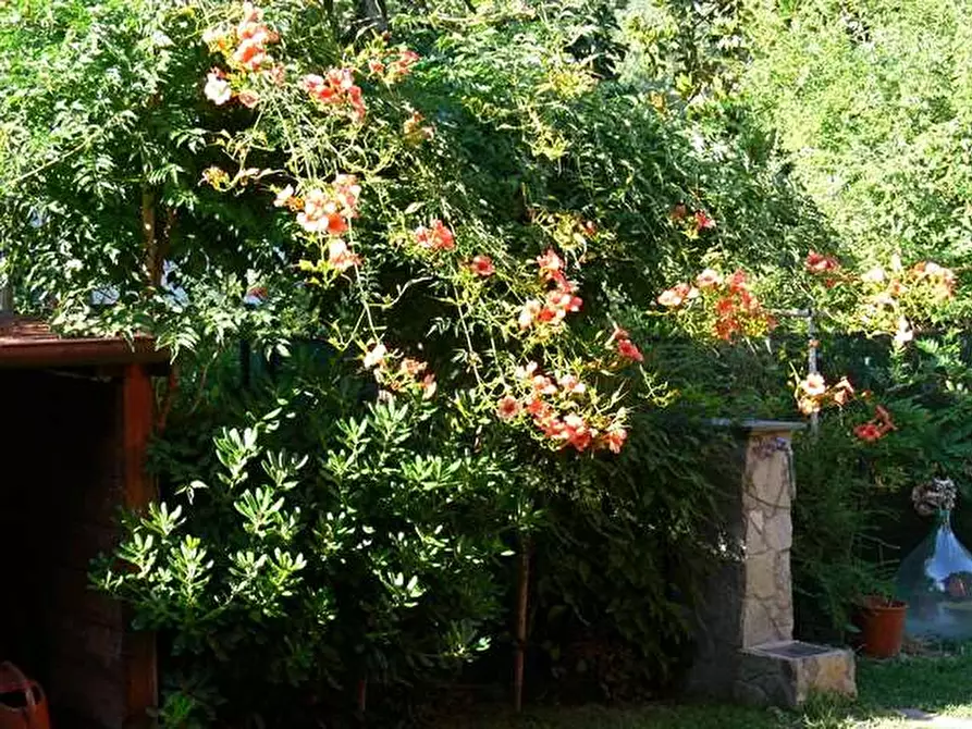 Immagine 6 di Villa in vendita  in lunigiana a Carrara