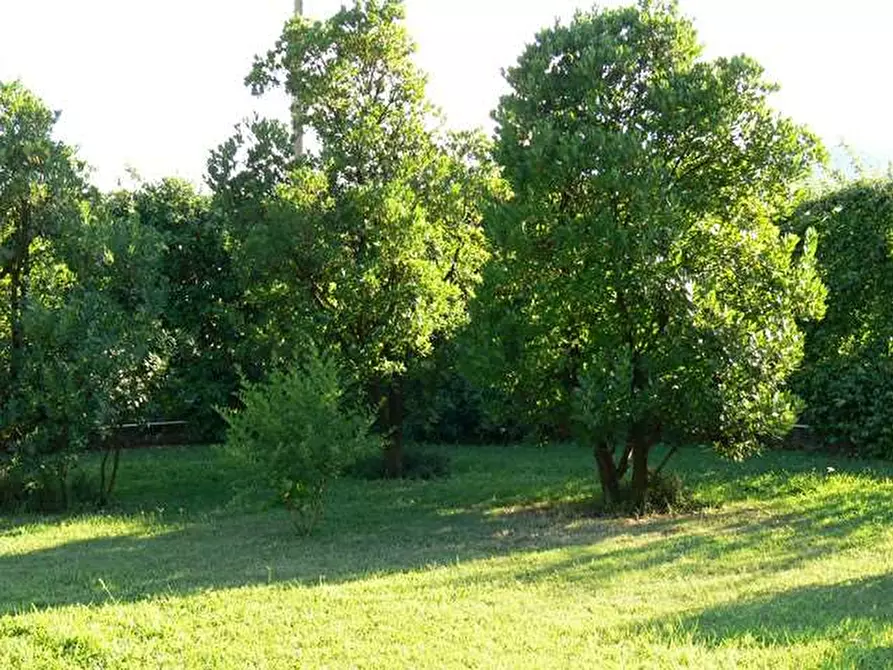 Immagine 15 di Villa in vendita  in lunigiana a Carrara