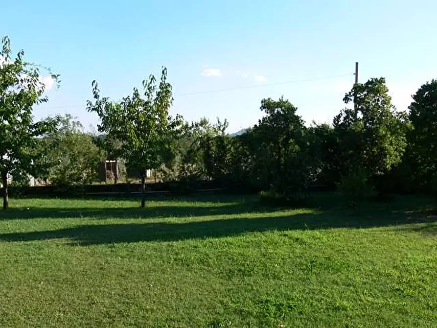 Immagine 16 di Villa in vendita  in lunigiana a Carrara