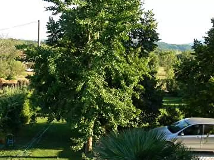 Immagine 18 di Villa in vendita  in lunigiana a Carrara