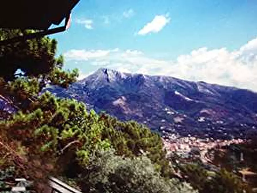 Immagine 7 di Casa indipendente in vendita  in zona residenziale belvedere a Camaiore