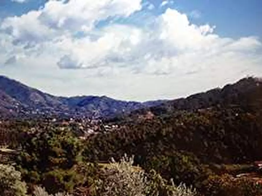 Immagine 9 di Casa indipendente in vendita  in zona residenziale belvedere a Camaiore