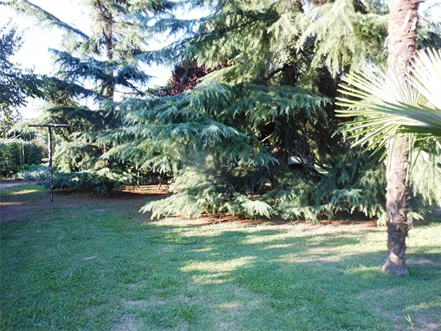 Immagine 27 di Porzione di casa in vendita  in Lammari a Capannori