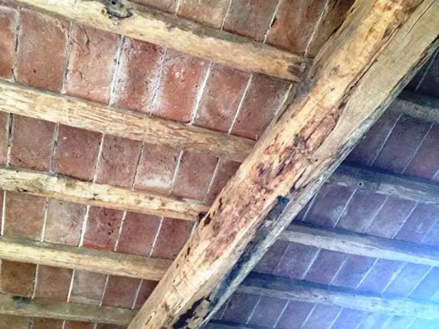 Immagine 14 di Porzione di casa in vendita  in san ginese a Capannori