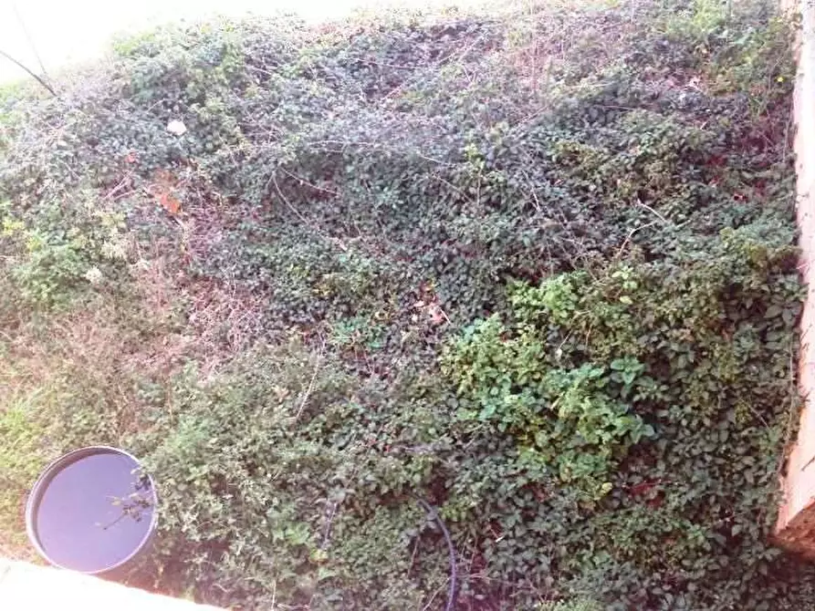 Immagine 15 di Porzione di casa in vendita  in san ginese a Capannori