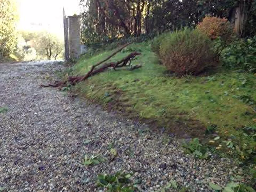 Immagine 36 di Rustico / casale in affitto  in Camigliano  a Capannori