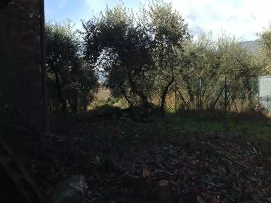 Immagine 37 di Rustico / casale in affitto  in Camigliano  a Capannori