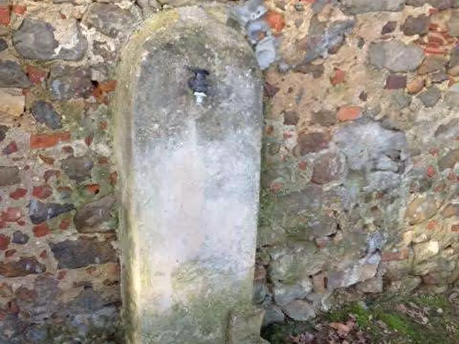 Immagine 39 di Rustico / casale in affitto  in Camigliano  a Capannori