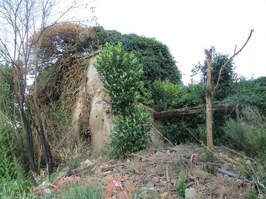 Immagine 2 di Rustico / casale in vendita  in Altopascio a Altopascio
