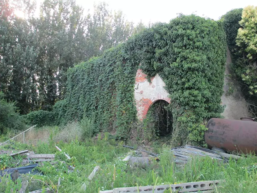 Immagine 3 di Rustico / casale in vendita  in Altopascio a Altopascio