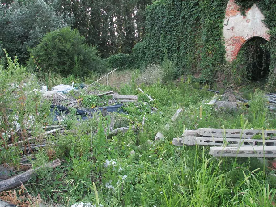 Immagine 4 di Rustico / casale in vendita  in Altopascio a Altopascio