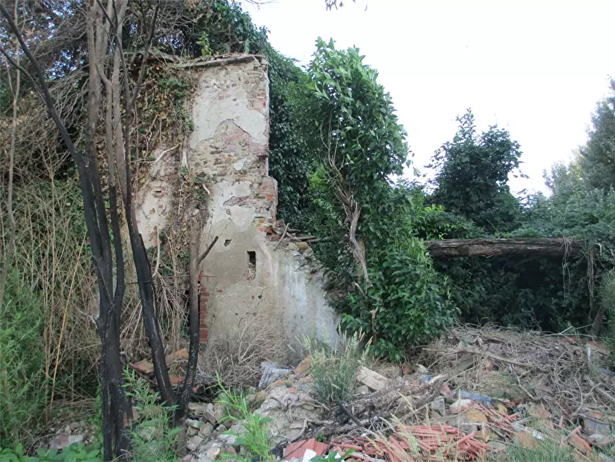 Immagine 5 di Rustico / casale in vendita  in Altopascio a Altopascio