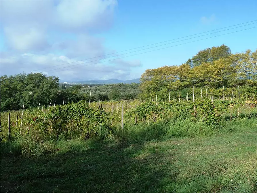 Immagine 8 di Rustico / casale in vendita  in Tofori a Capannori