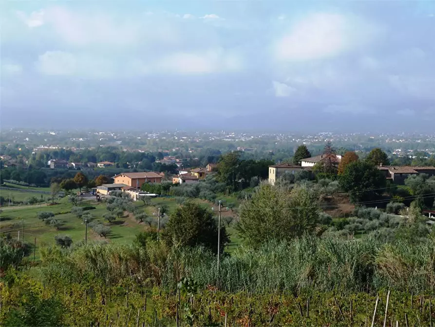 Immagine 9 di Rustico / casale in vendita  in Tofori a Capannori