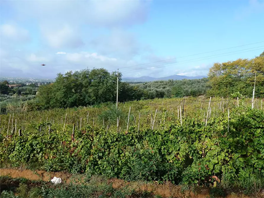 Immagine 11 di Rustico / casale in vendita  in Tofori a Capannori