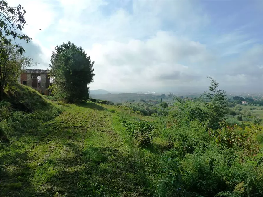 Immagine 13 di Rustico / casale in vendita  in Tofori a Capannori