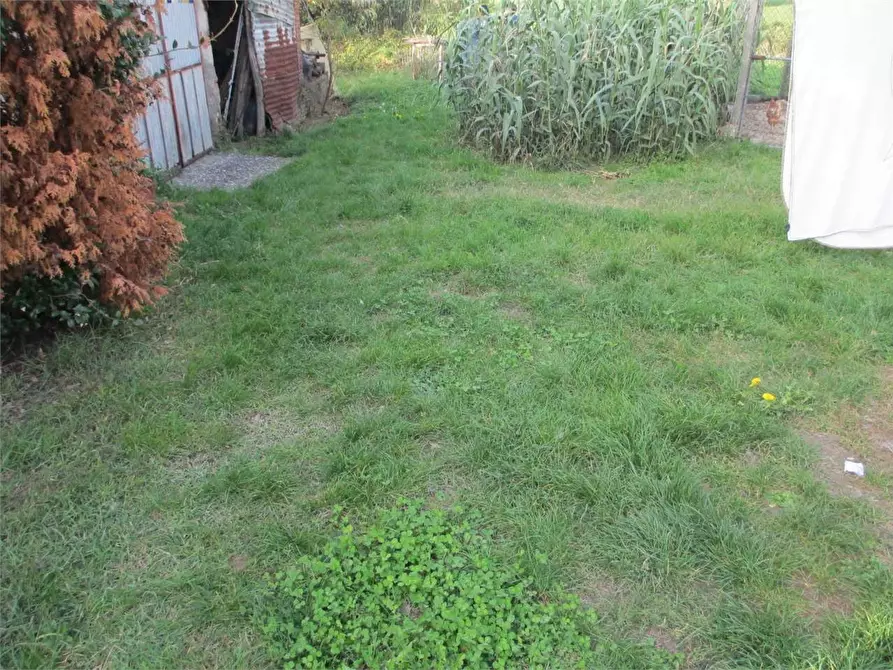 Immagine 19 di Rustico / casale in vendita  in porcari a Porcari