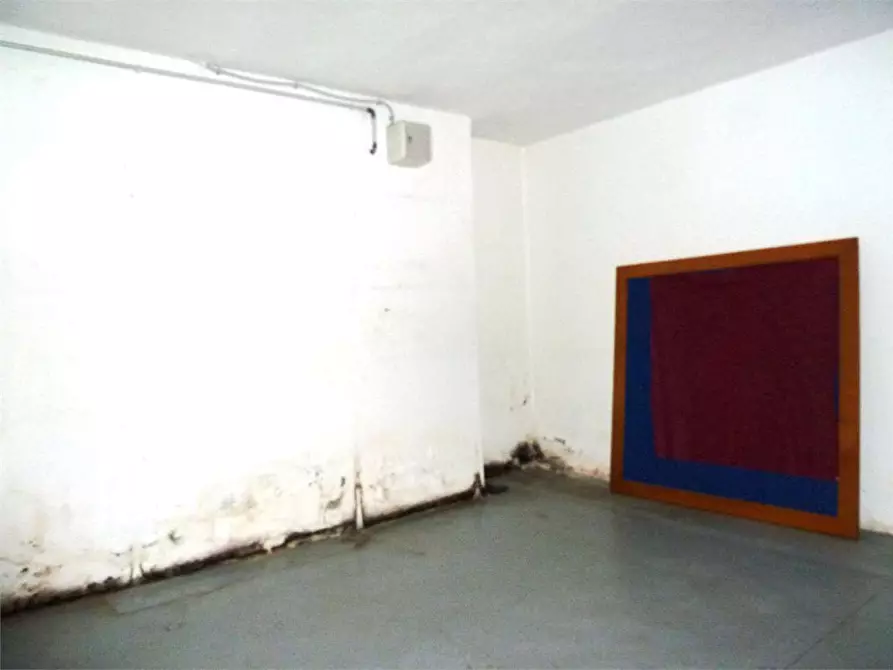 Immagine 17 di Negozio in vendita  in lappato a Capannori