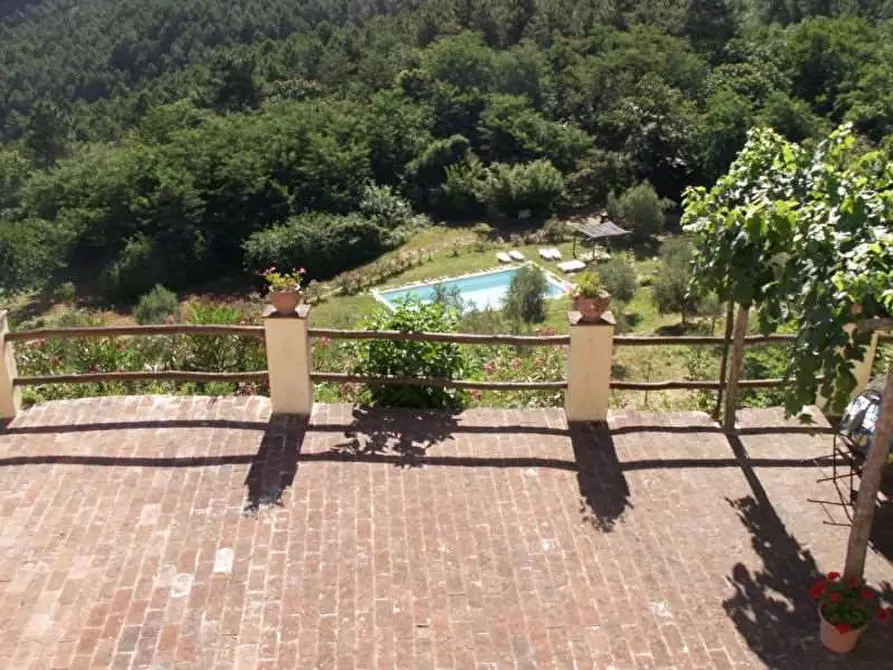 Immagine 23 di Rustico / casale in vendita  in colled i compito a Capannori