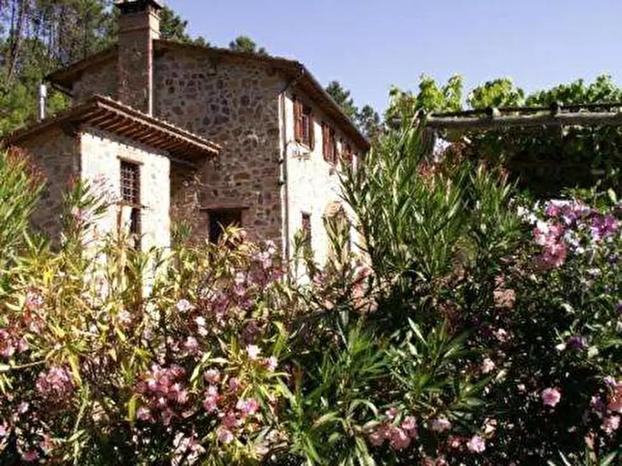 Immagine 24 di Rustico / casale in vendita  in colled i compito a Capannori