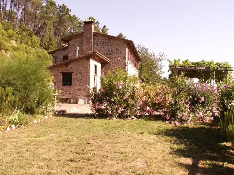 Immagine 3 di Rustico / casale in vendita  in colled i compito a Capannori