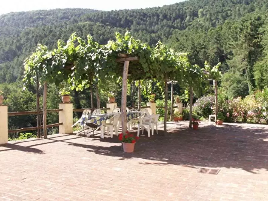 Immagine 25 di Rustico / casale in vendita  in colled i compito a Capannori