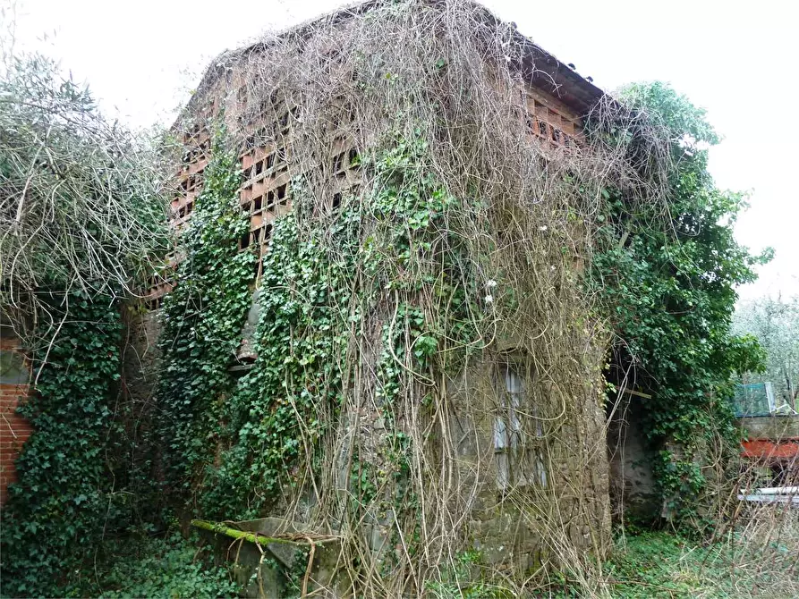 Immagine 3 di Casa indipendente in vendita  in Segromigno in monte  a Capannori