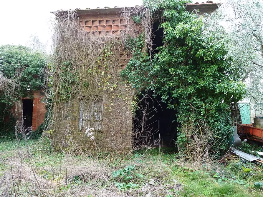 Immagine 5 di Casa indipendente in vendita  in Segromigno in monte  a Capannori