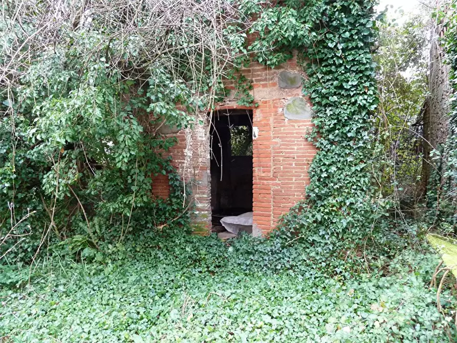 Immagine 6 di Casa indipendente in vendita  in Segromigno in monte  a Capannori